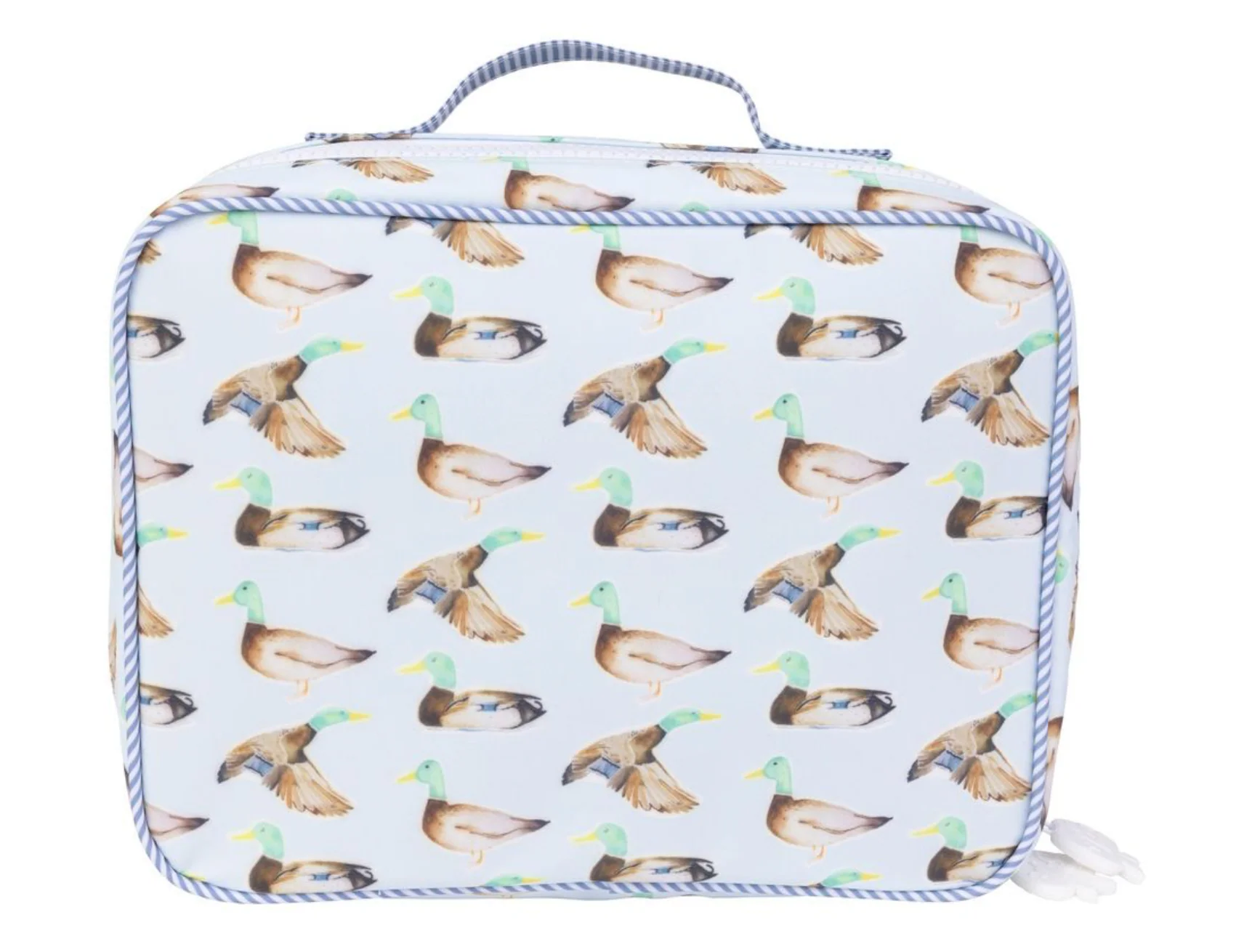 Apple of My Isla - The Lunchbox - Image 5