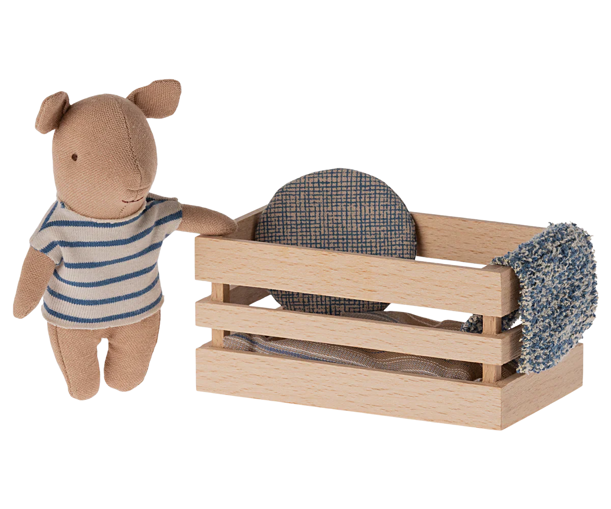 Boy Pig in a Box