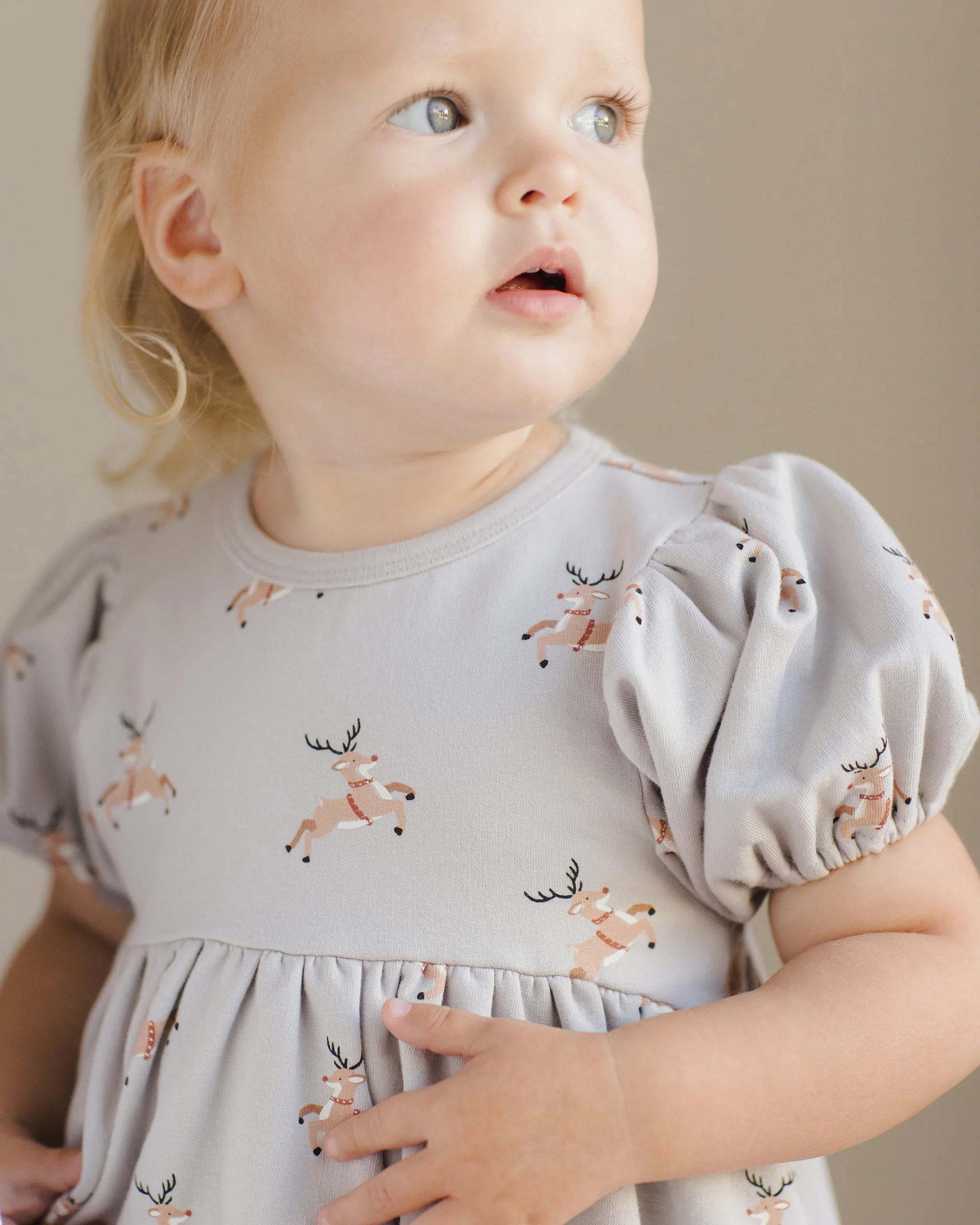 Reindeer Darla Dress - Image 3